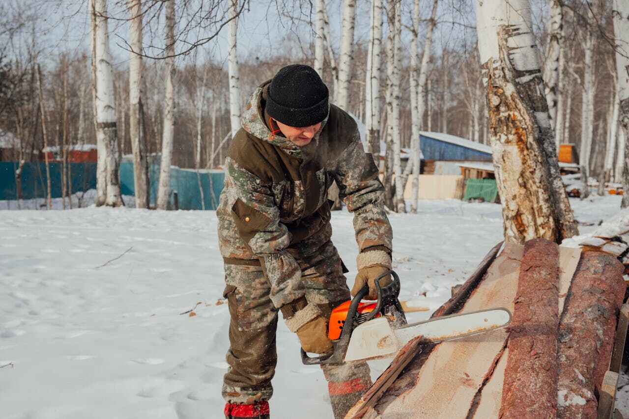 Large Tree Removal in Signal Mountain, TN